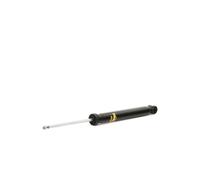 MONROE 376113SP Shock absorber