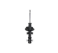 Monroe 401030RM Automobile Shock Absorbers