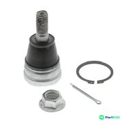 MONROE BALL JOINT L16J36