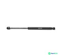 MONROE BONNET GAS SPRING ML6355 FOR BMW