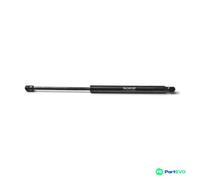 MONROE BOOT/CARGO AREA GAS SPRING ML6188 FOR VW