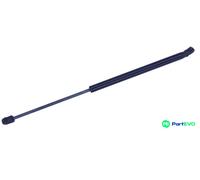 MONROE BOOT/CARGO AREA GAS SPRING ML6540 FOR VW