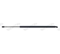 Monroe Both Sides Boot Cargo Gas Strut Fits VW Multivan Transporter T6 Caravelle