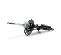 MONROE C2506R Shock absorber