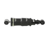 Monroe CB0002 Damper, Cab Storage