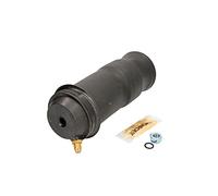 Monroe CB0055 MONROE CAB DAMPER
