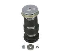 Monroe CB0067 MONROE CAB DAMPER