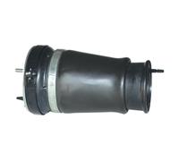Monroe Front Left Air Spring Suspension Fits BMW X5 37116757501