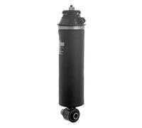 MONROE CB0210 Shock Absorber, cab suspension
