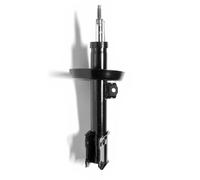 MONROE G16791 Shock absorber