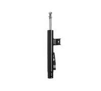 MONROE G7104 Shock Absorber Front Twin-Tube Suspension Fits Smart Fortwo