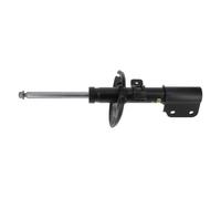 Monroe Shock Absorber G8653 Front Single Original 9820363980 3550079