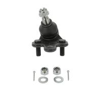 MONROE Ball Joint | L13A24 | OE-Matching Quality | Precise Steering & Suspension | Pack of 1