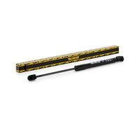 MONROE ML6170 Tailgate strut