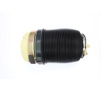 Monroe Rear Air Spring Suspension Fits Audi A6 4F0616001