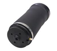 Monroe Rear Air Spring Suspension Fits Mercedes R-Class 2513200025
