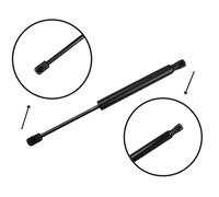 Monroe Rear Boot Cargo Gas Strut Fits Tesla Model 3