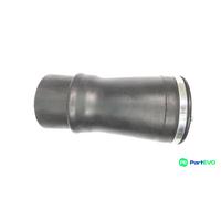 MONROE REAR LEFT SUSPENSION AIR SPRING ASP011 FOR BMW