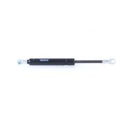 Monroe Rear Rear Window Gas Strut Fits BMW 5 Series 51248190688