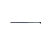 Monroe Rear Rear Window Gas Strut Fits Citroën C3 10004215A