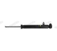 Monroe Rear Right Shock Absorber Fits BMW X5 X6 33524048554