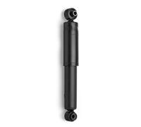 Monroe Rear Shock Absorber Fits Hyundai I10 553000X100