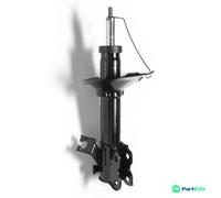 MONROE G16794 Shock absorber
