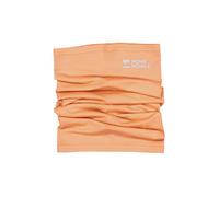 Mons Royale Daily Dose Merino Flex 200 Snowboard & Ski Neckwarmer 2025