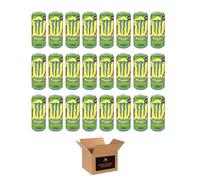 Monster Energy Drink Flavours | Juiced, Zero Sugar, Ultra, Monarch, Fiesta Mango, Strawberry Dreams, VR46, Punch | High Caffeine Sports Energy Drink | 500ml (Pack 24, Rio Punch)