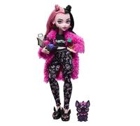 Monster High Doll And Sleepover Accessories, Draculaura Doll Pet Bat Count Fabulous, Creepover Party