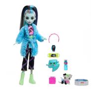 Monster High Creepover Party Frankie Stein