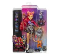 Monster High Toralei Stripe Collectible Doll with Pet and Accessories Sweet Fangs G3 Reboot, Multicolor (HHK57)