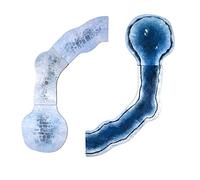 Monster Scenery: Snowy Rivers and Roads