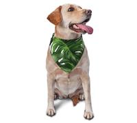 Monstera Deliciosa Banana Palm Dog Bandana Pet Scarf Accessories for Small Medium Dogs Cats Photo Prop, Triangle Pet Bandanas Adjustable Puppy Bib Washable Dog Kerchief Puppy Neckerchief