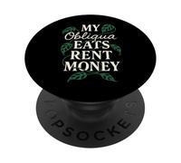 Monstera Obliqua Rare Plant Collector Leaf Lover Indoor Gift PopSockets Adhesive PopGrip