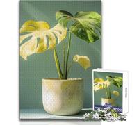 Monstera Plant in Pot Jigsaw for Adults 1000 Pieces Focus Building Educational Activity for Festive Occasions Size 38x52cm