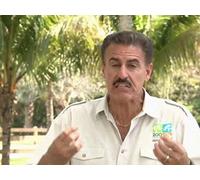 Monsters in the Backyard