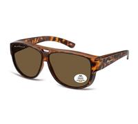 Montana Aviator Matte Tortoise Brown Polarized Fo6 Brown