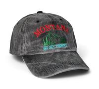 Montana Big Sky Country - Vintage Washed Cotton Dad Hat, Curved Brim Adjustable Baseball Cap, Men & Women Golf, Hike, Black, One size