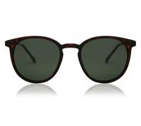 Montana Eyewear MP33 Polarized MP33D Men's Sunglasses Tortoiseshell Size 50