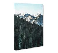 Montana Mountain Behind The Forest Modern Canvas Wall Art Print Ready to Hang, Framed Picture for Living Room Bedroom Home Office Décor, 20x14 Inch (50x35 cm)