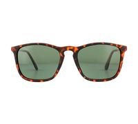 Montana MP34 Unisex Brown Turtle Rubbertouch Sunglasses