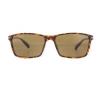 Montana MP51 Unisex Brown Turtle Rubbertouch Sunglasses