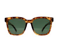 Montana MP72 Unisex Shiny Havana Soft Demi Sunglasses