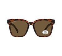 Montana Square Havana Brown Polarized Mp72 Brown