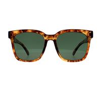 Montana Square Shiny Havana Soft Demi Green Polarized Mp72 In Brown Brown