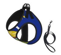 Montana State Flag Print Adjustable Harness Leash Set For Cats And Dogs, Soft Breathable Kitten Puppy Mesh Vest With Reflective Design, Escape-Proof Lead For Small Pets Walking Training