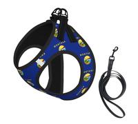 Montana State Flag Print Small Dog Harness And Leash Set, Adjustable Soft Vest With 360° Reflective Straps For Cats Puppy