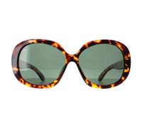 Montana Butterfly Shiny Turtle G15 Polarized Mp63 In Brown Brown