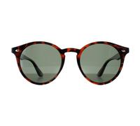 montana Women's Round Turtle G15 Polarized MP20 in Brown